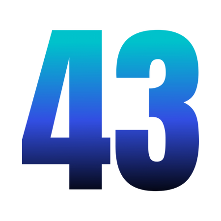 Tênis 43